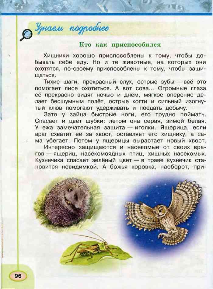 Учебник Окружающий мир 3 класс Плешаков Новицкая часть 1 читать онлайн